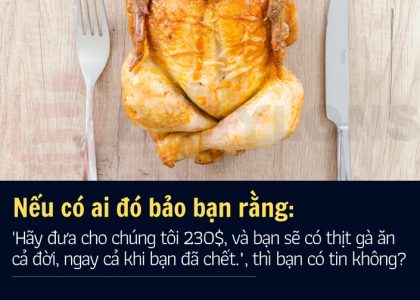 Thánh gà - và bài học về hiệu ứng FOMO "sợ bỏ lỡ cơ hội" trong kinh doanh - Làm giàu từ kinh doanh