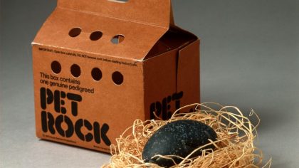 Ý tưởng kinh doanh kỳ lạ: Lừng danh nhờ Pet Rock "thú nuôi" bằng đá - Làm giàu từ kinh doanh